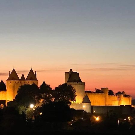 Chambre Avec Vue Panoramique Sur La Cite Medievale 카르카손 외부 사진