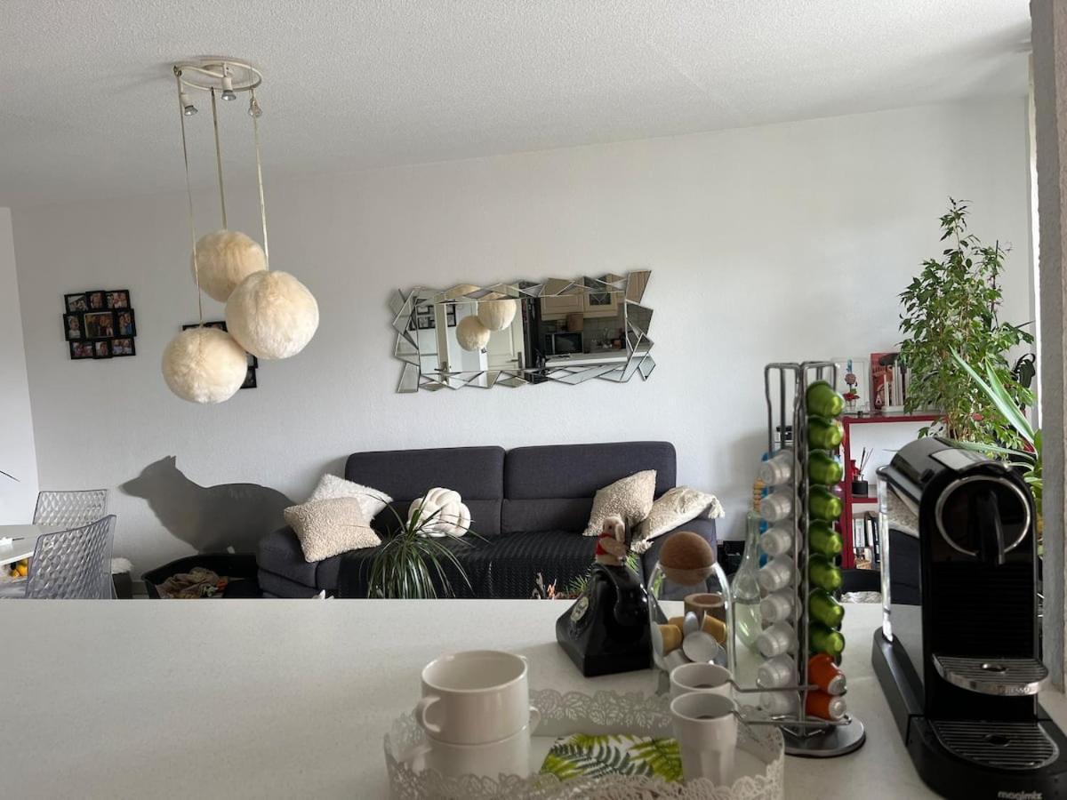 Chambre Avec Vue Panoramique Sur La Cite Medievale 카르카손 외부 사진